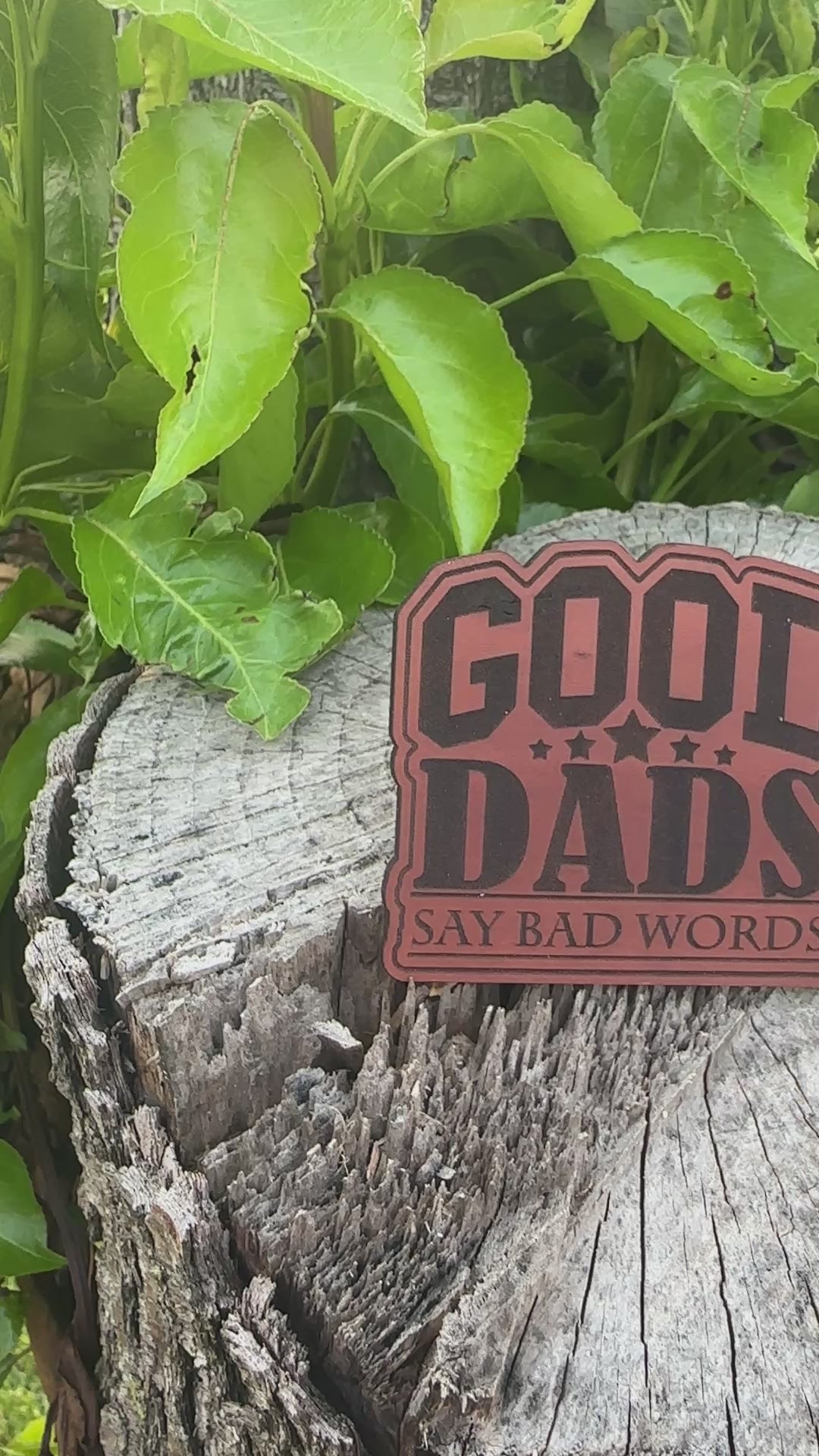 Good Dads say Bad Words - Hat Patch