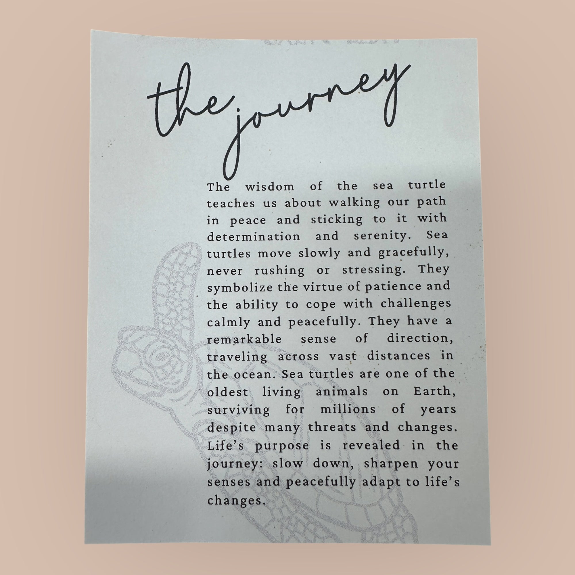 Sea Turtle - The Journey - Story Card Ornament