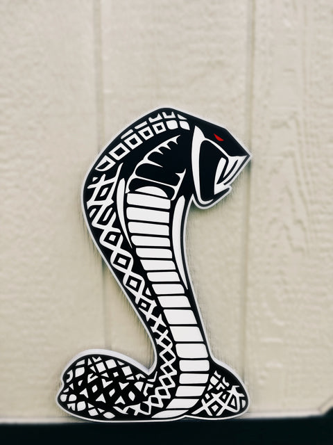 Detailed snake with red eye painted in white and black